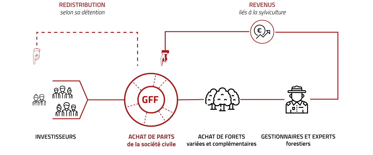 infographie-GFF