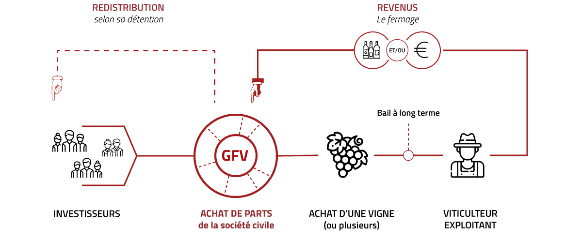 schema-investissement-gfv-2