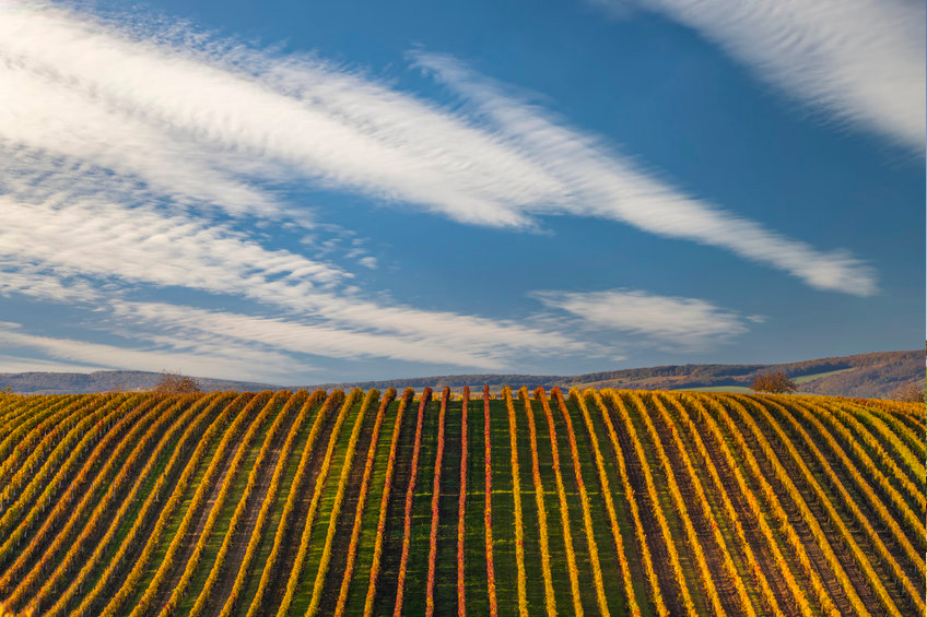gfv-vallee-rhone gfv-vallee-rhone